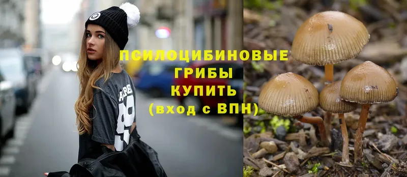 Галлюциногенные грибы Magic Shrooms  закладка  Кызыл 